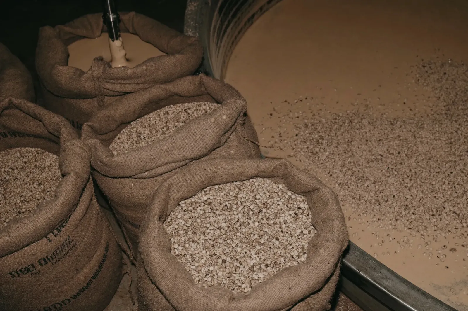 Malt